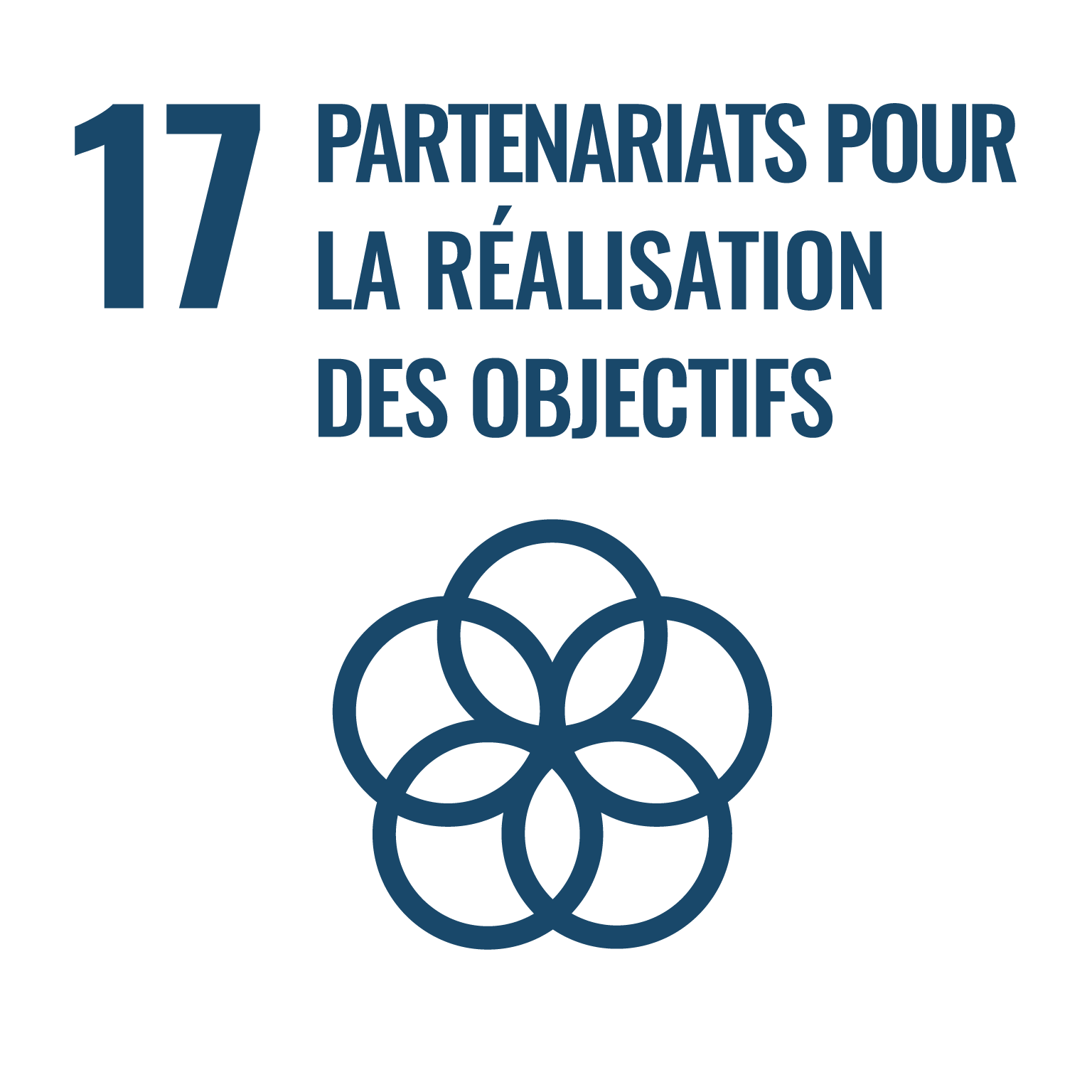 logo ODD 17 partenaires 