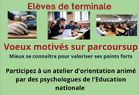 SAIO-cio_castres_atelier_tles_2903