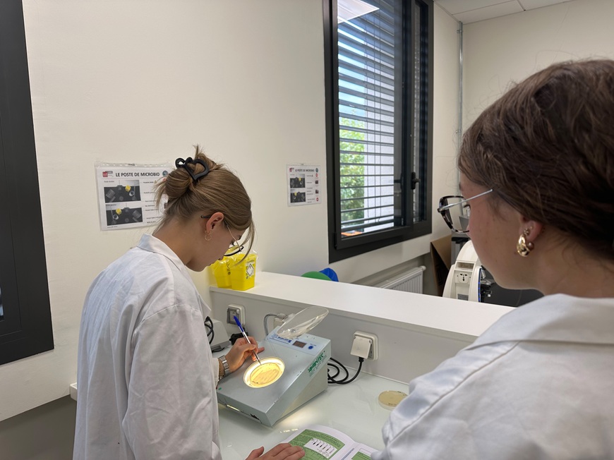 Cordée Colorez votre avenir en Biotech