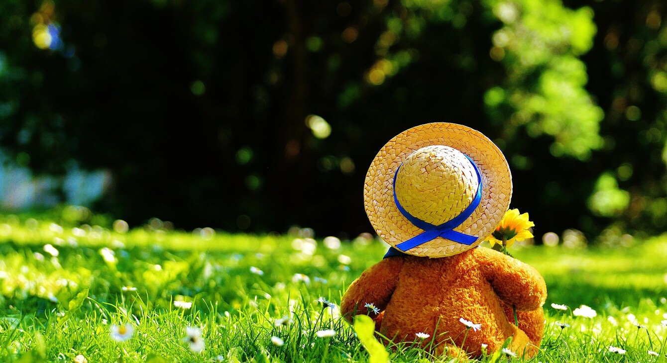 Protection de l'enfance