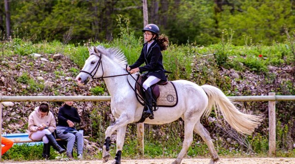 Vic de Sos Equitation