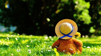 Protection de l'enfance